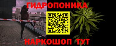 apvp Моздок