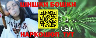 apvp Моздок