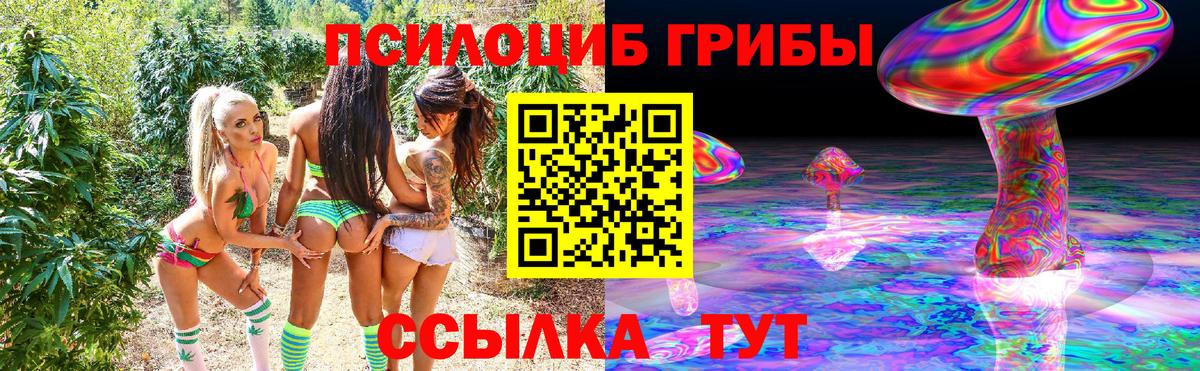 Псилоцибиновые грибы прущие грибы  Вход с VPN  Псилоцибиновые грибы GOLDEN TEACHER  Бугуруслан 